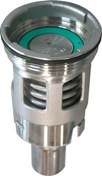 RSV Stainless Valve BSP Thread